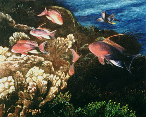 Acuario Oil Canvas Animals