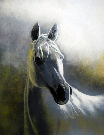 Caballo Oil Canvas Animals