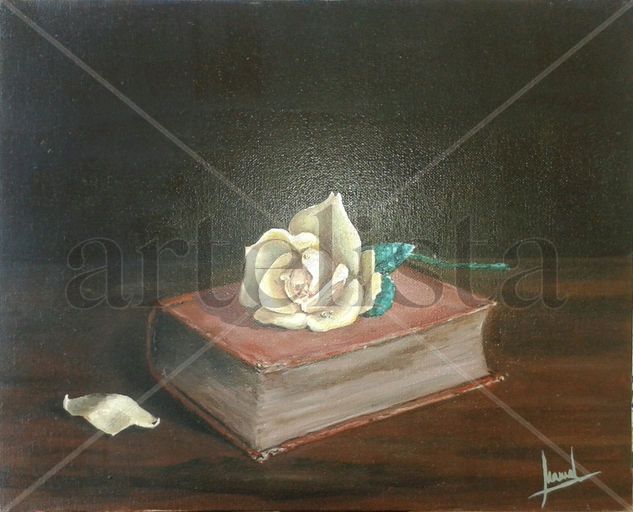 rosa sobre libro Oil Canvas Still Life Paintings