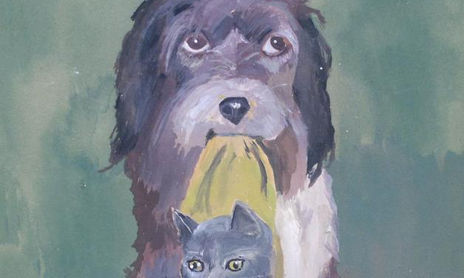 Coleccion Animales