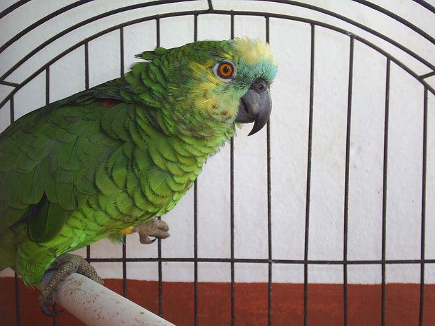 verde que te quiero verde