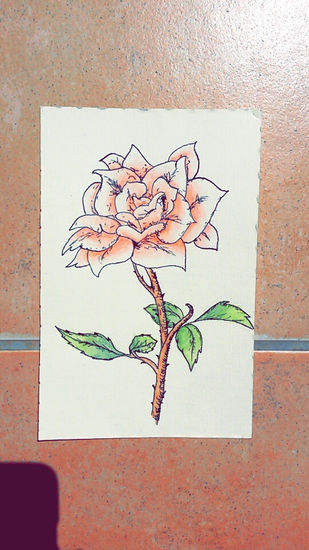 Rosa hecha a plumilla Mixed Media