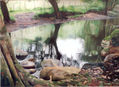 Gualivà