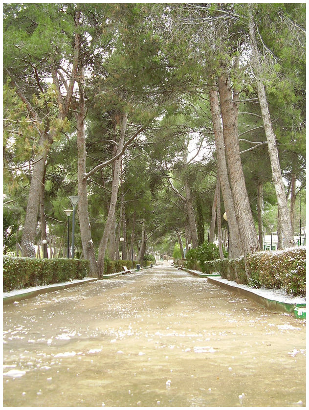 Parque Municipal de Altura - 1.139