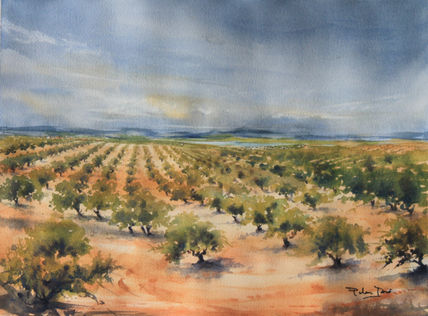 Campos de Jaen