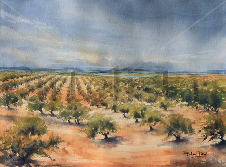 Campos de Jaen