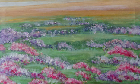 Paisajes