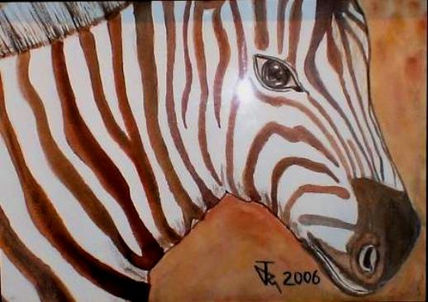 Zebra