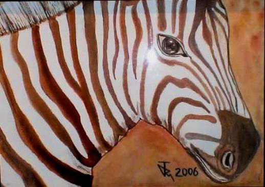zebra