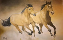 Caballos corriendo