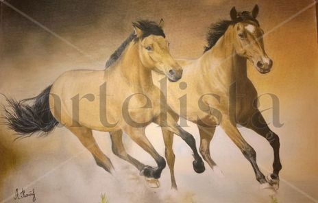 Caballos corriendo