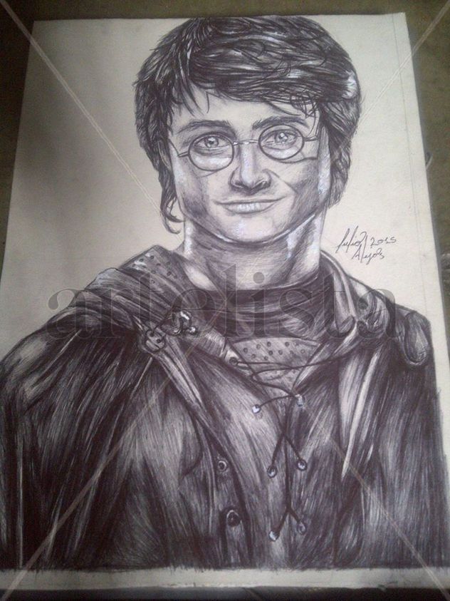 harry poter: