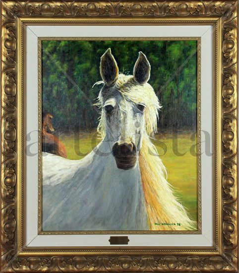 Caballo atento Oil Canvas Animals