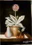 Flores y frutos