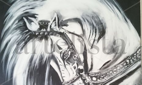 CABALLOS