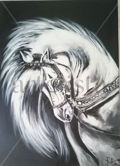 CABEZA DE CABALLO BLANCO SOBRE FONDO NEGRO Acrylic Canvas Animals