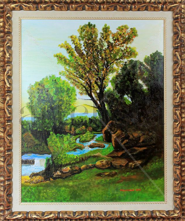 Rocas y arroyo en el bosque