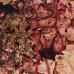 EROTICA thumbnail 1