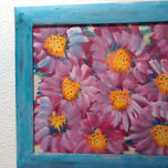 THE FLOWERS LIFE thumbnail 2