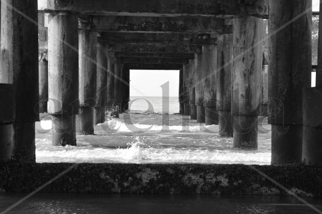 El muelle Viajes Blanco y Negro (Digital)