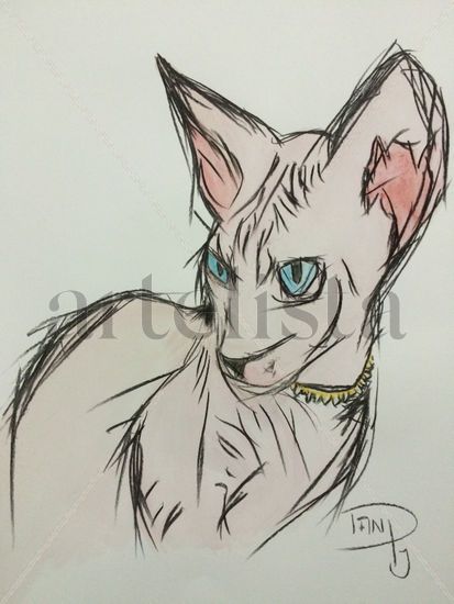 Gato Watercolour Paper Others