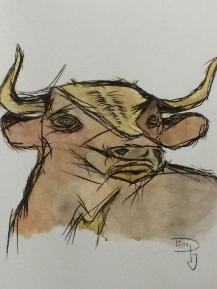 Toro