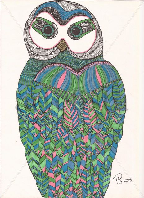 Tyto nocturno