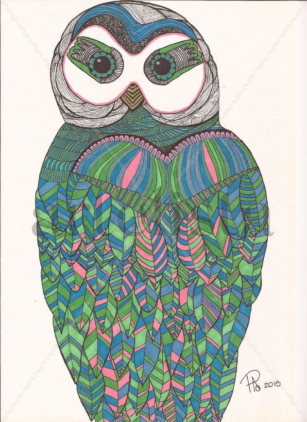 Tyto nocturno