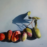 obra
