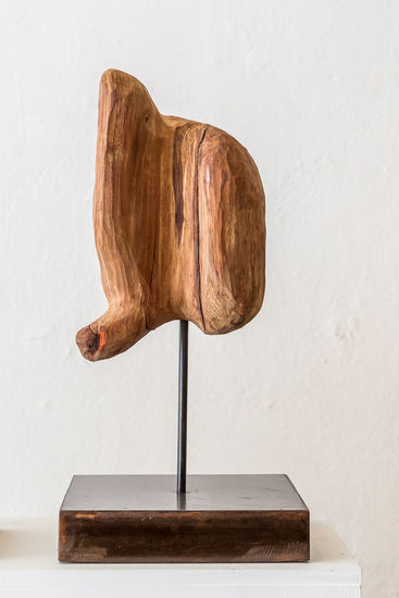 "Mano" Wood Abstract