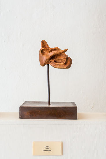 "Oreja" Wood Abstract