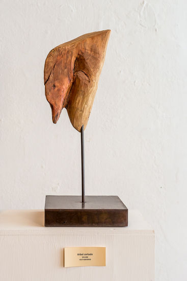 "Árbol Cortado" Wood Abstract