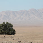 Desierto thumbnail 1