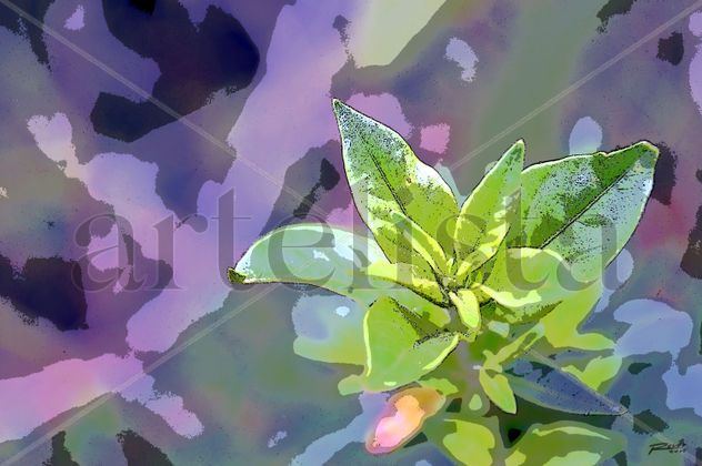 Verde Natura