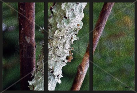 Tríptico Natura 1