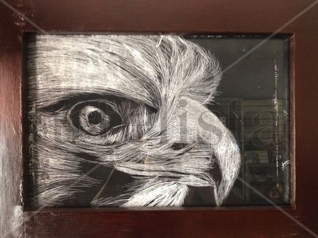 Aguila