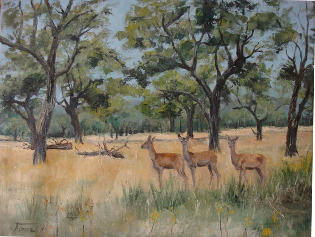 Sorprendidos en su habitat Oil Canvas Animals