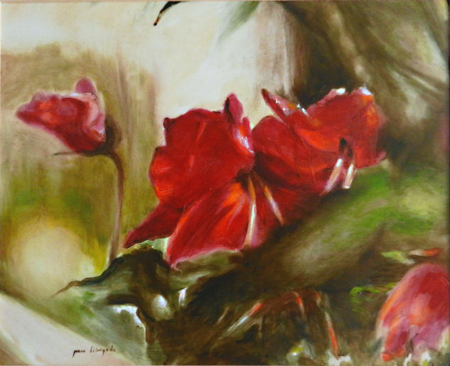 flor vermella Oil Others Floral Painting