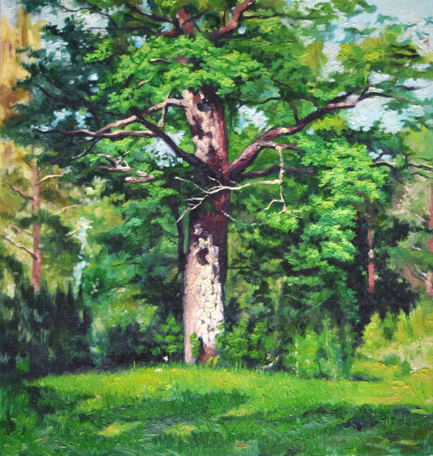 árbol en e bosque