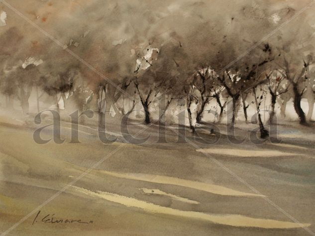 Dehesas Watercolour Paper Landscaping