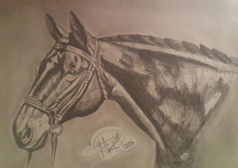 Caballo en blanco y...