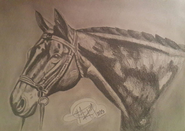 Caballo en blanco y negro Pencil (Black) Others Animals