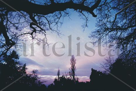 Embeleso