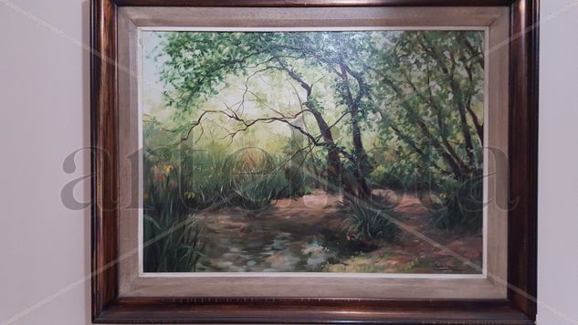 Reserva Ecologica Zona Norte Oil Canvas Landscaping