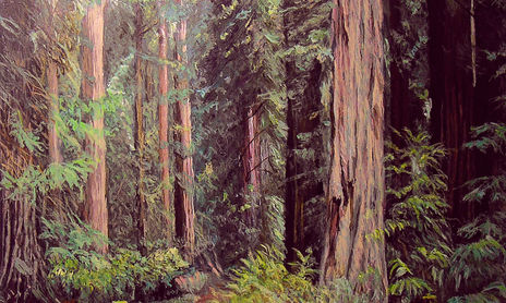 Paisaje