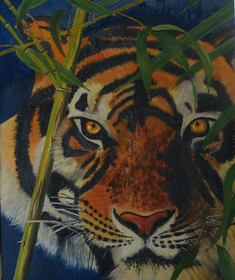 tigre Oil Canvas Animals