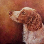 Animales thumbnail 2