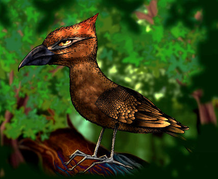 Pajarito