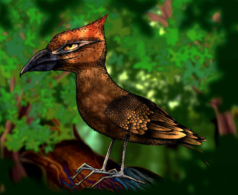 Pajarito