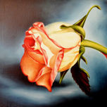 Flores thumbnail 1